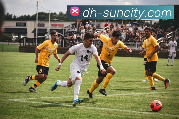 澳门太阳城服务体系